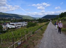 IMG_20260607_101132