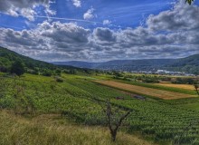 IMG_20260607_102235