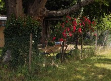 IMG_20260607_113249