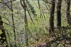 Wanderung von Abenden nach Heimbach