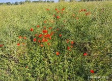 IMG_20250614_092322