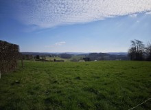 IMG_20260321_100516