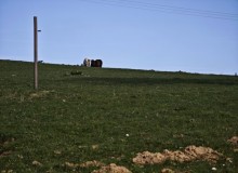 IMG_20260321_101150