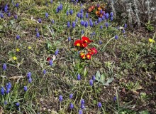 IMG_20260321_101223