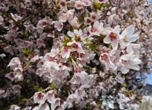 IMG_20260321_101351