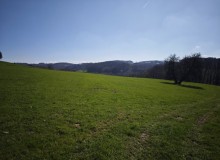 IMG_20260321_110817