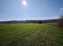 IMG_20260321_111019