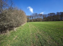 IMG_20260321_111024