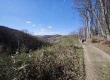 IMG_20260321_112643