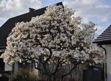 IMG_20260321_163910