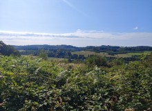 IMG_20260801_100748