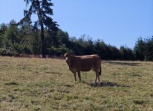 IMG_20260801_103145