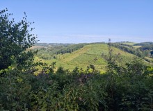 IMG_20260801_105155