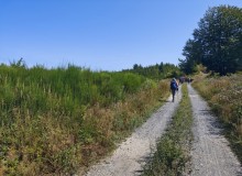 IMG_20260801_111306