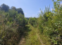 IMG_20260801_113822