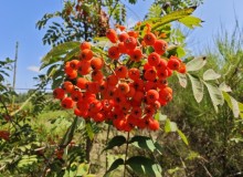 IMG_20260801_115758