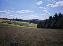 IMG_20260801_123313