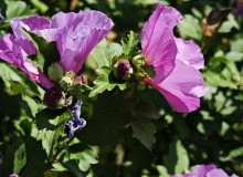 IMG_20260801_124628