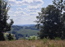 IMG_20260801_135122