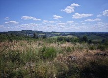 IMG_20260801_140226