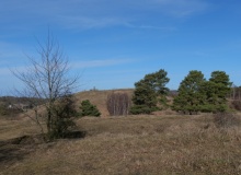P1046115