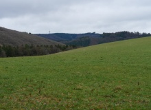 P1068164