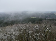 P1068188