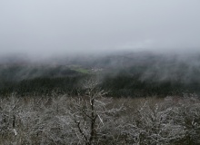 P1068191