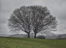 IMG_20260404_105119