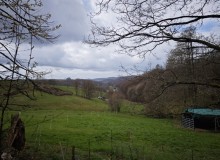 IMG_20260404_130250