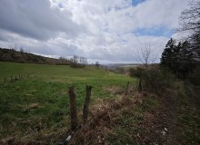 IMG_20260404_130457