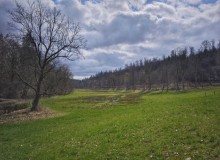 IMG_20260404_135443