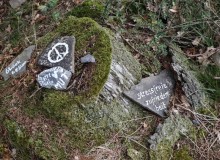 IMG_20260404_150423