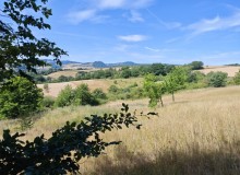 IMG_20250705_111123