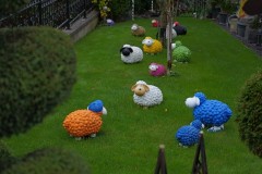 Wanderung von Niederzissen nach Oberzissen