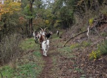 IMG_20251018_100419