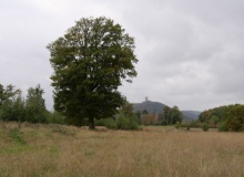 P1460760