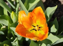IMG_20250405_112528