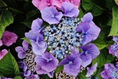 Wanderung von Stolberg nach Vossenack