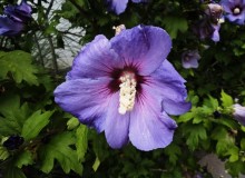 IMG_20250802_104833