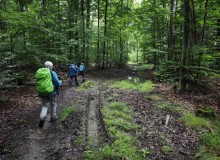 IMG_20250802_112841