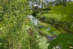 Wanderung von und nach Wickrath