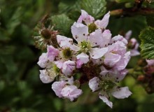 IMG_20260520_111417