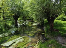 IMG_20260520_123209