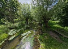 IMG_20260520_123239