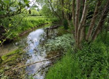 IMG_20260520_123742