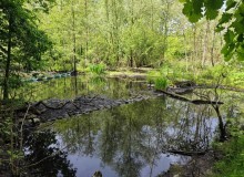 IMG_20260520_130343