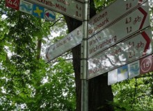 IMG_20260520_130900