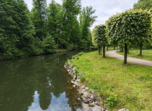 IMG_20260520_132144