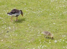 IMG_20260520_132658